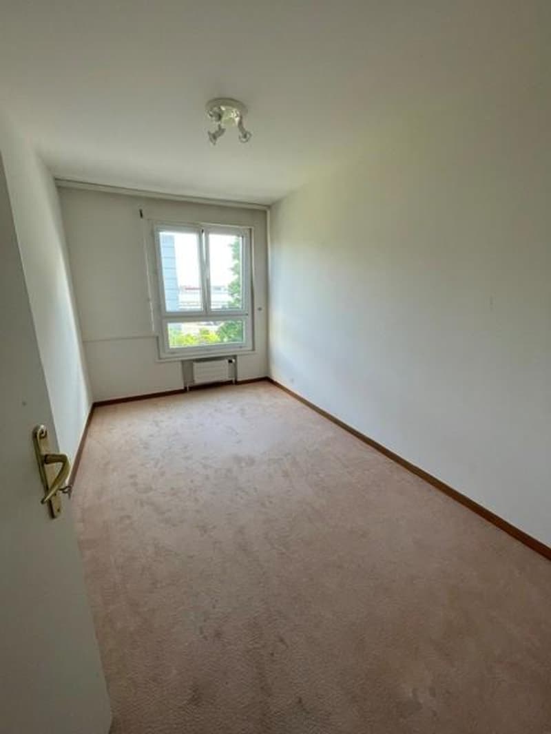 Prächtige 5,5-Zimmer-Wohnung (8)