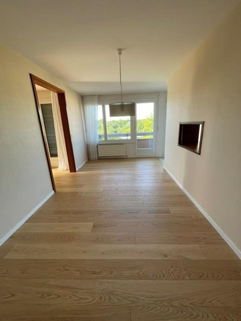 Prächtige 5,5-Zimmer-Wohnung (2)