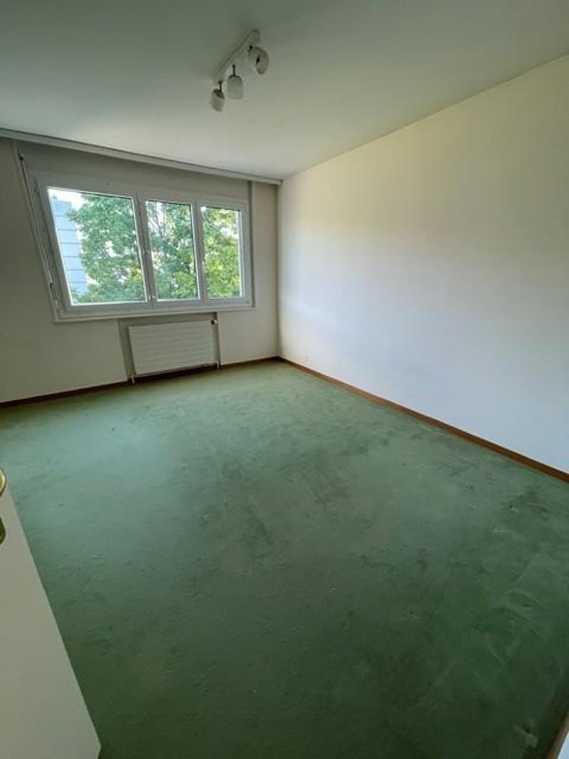Prächtige 5,5-Zimmer-Wohnung (6)