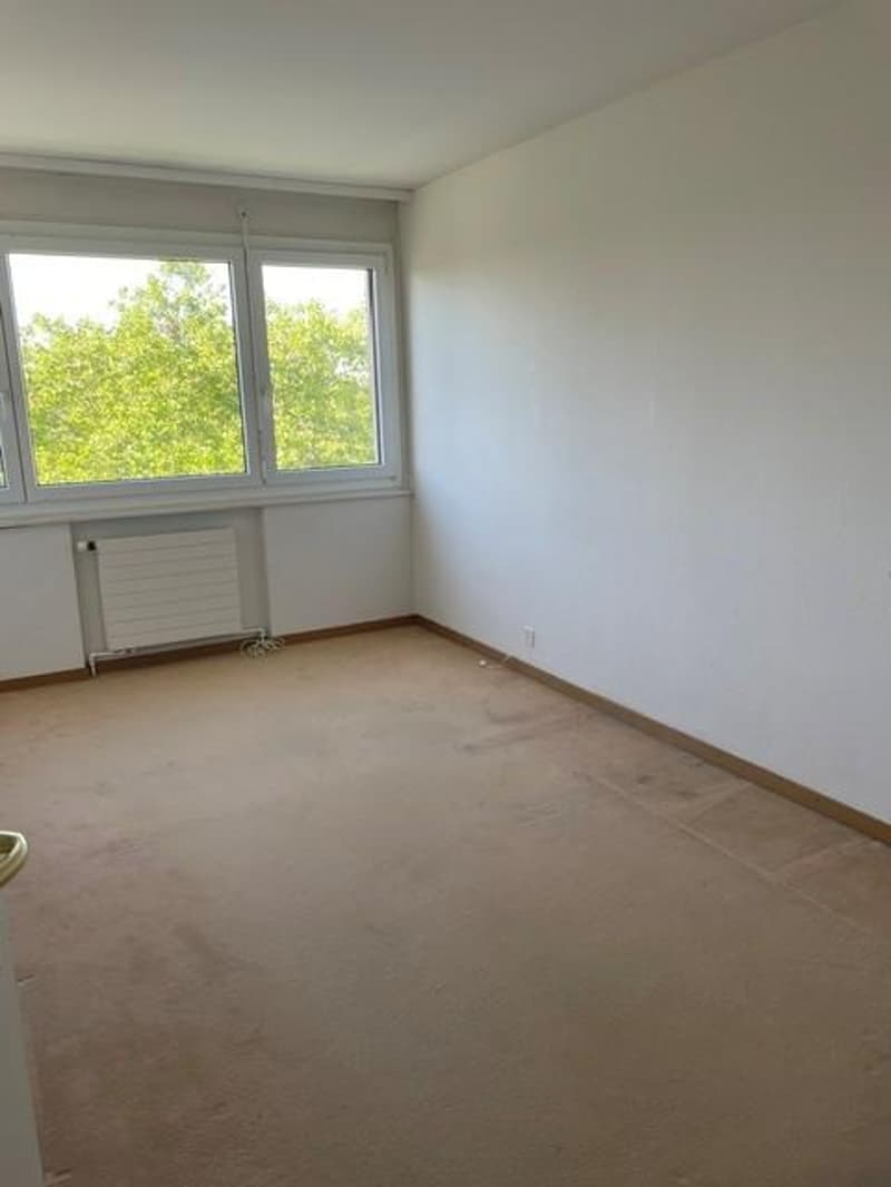 Prächtige 5,5-Zimmer-Wohnung (3)