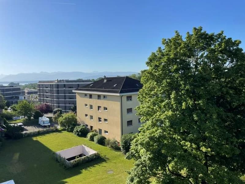 Prächtige 5,5-Zimmer-Wohnung (1)
