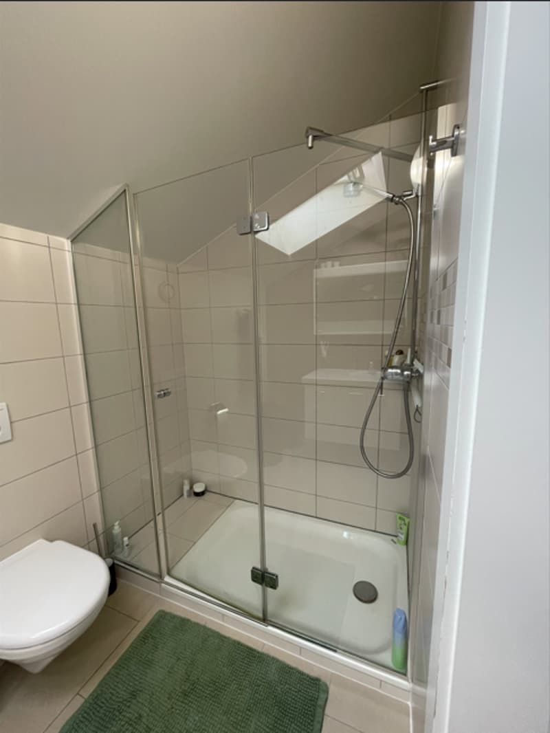 Bello appartamento duplex di 3 locali a Genolier (5)