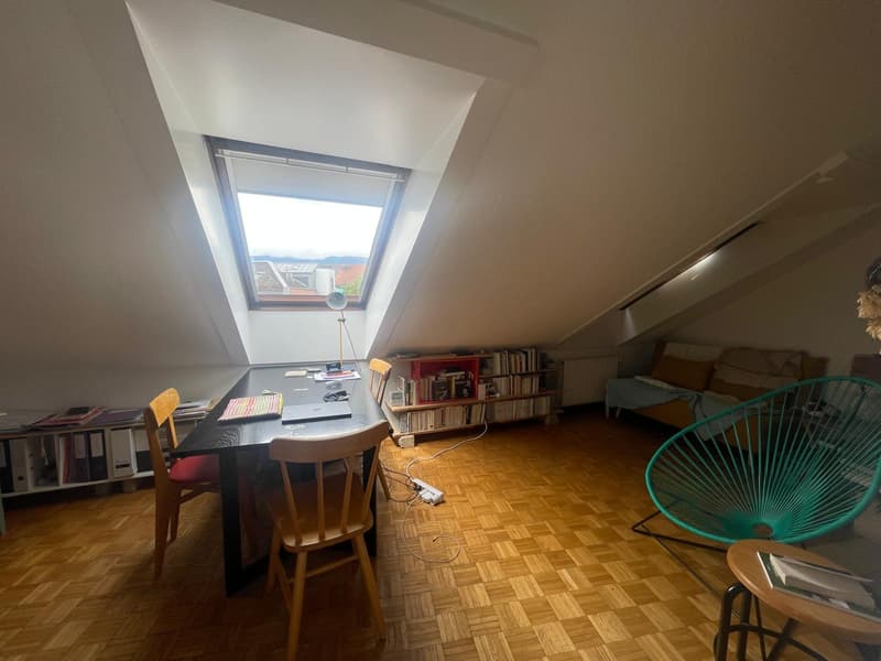 Two-room apartment in the center of Nyon (2)