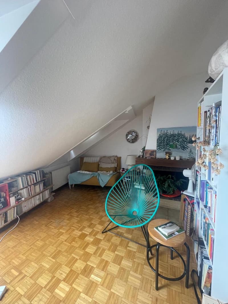 Two-room apartment in the center of Nyon (3)