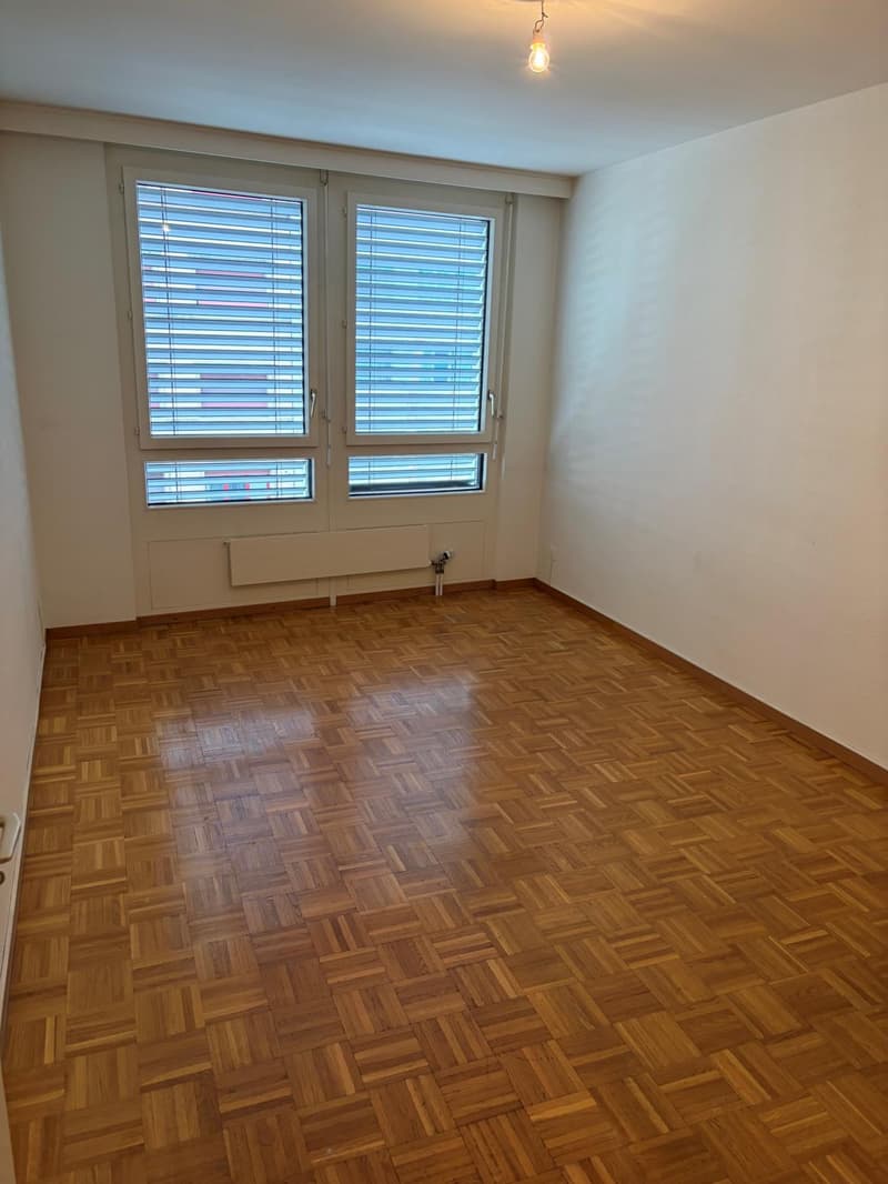 3-room apartment in Geneva (2)
