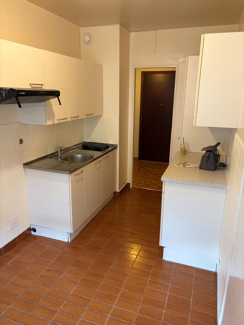 3-room apartment in Geneva (3)