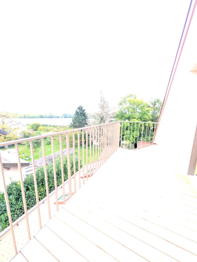 Beautiful 4.5-room duplex apartment in a renovated house (9)
