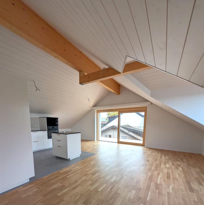 Beautiful 4.5-room duplex apartment in a renovated house (1)