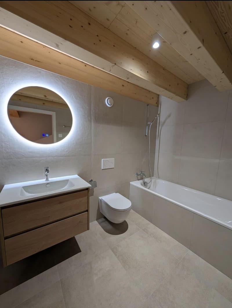 Beautiful 4.5-room duplex apartment in a renovated house (4)