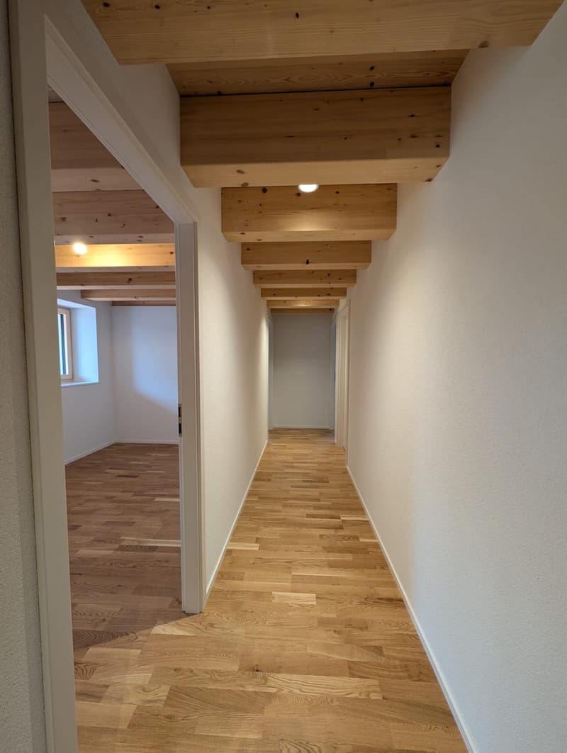 Beautiful 4.5-room duplex apartment in a renovated house (7)