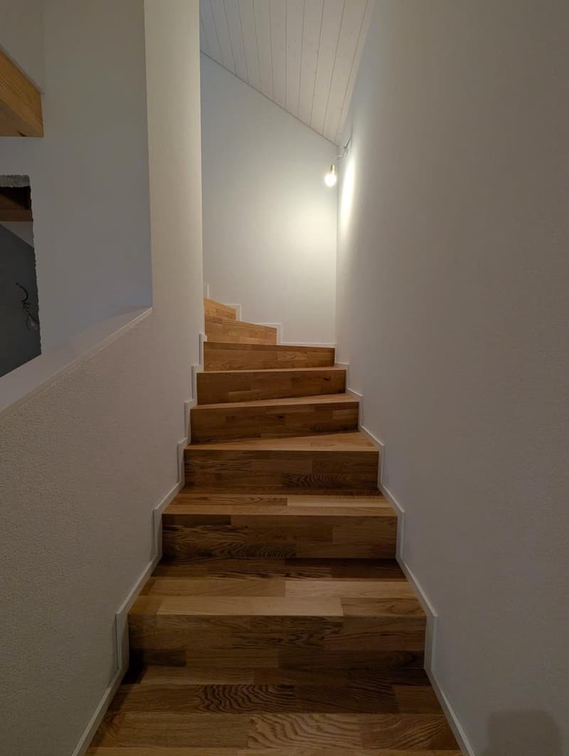 Beautiful 4.5-room duplex apartment in a renovated house (5)
