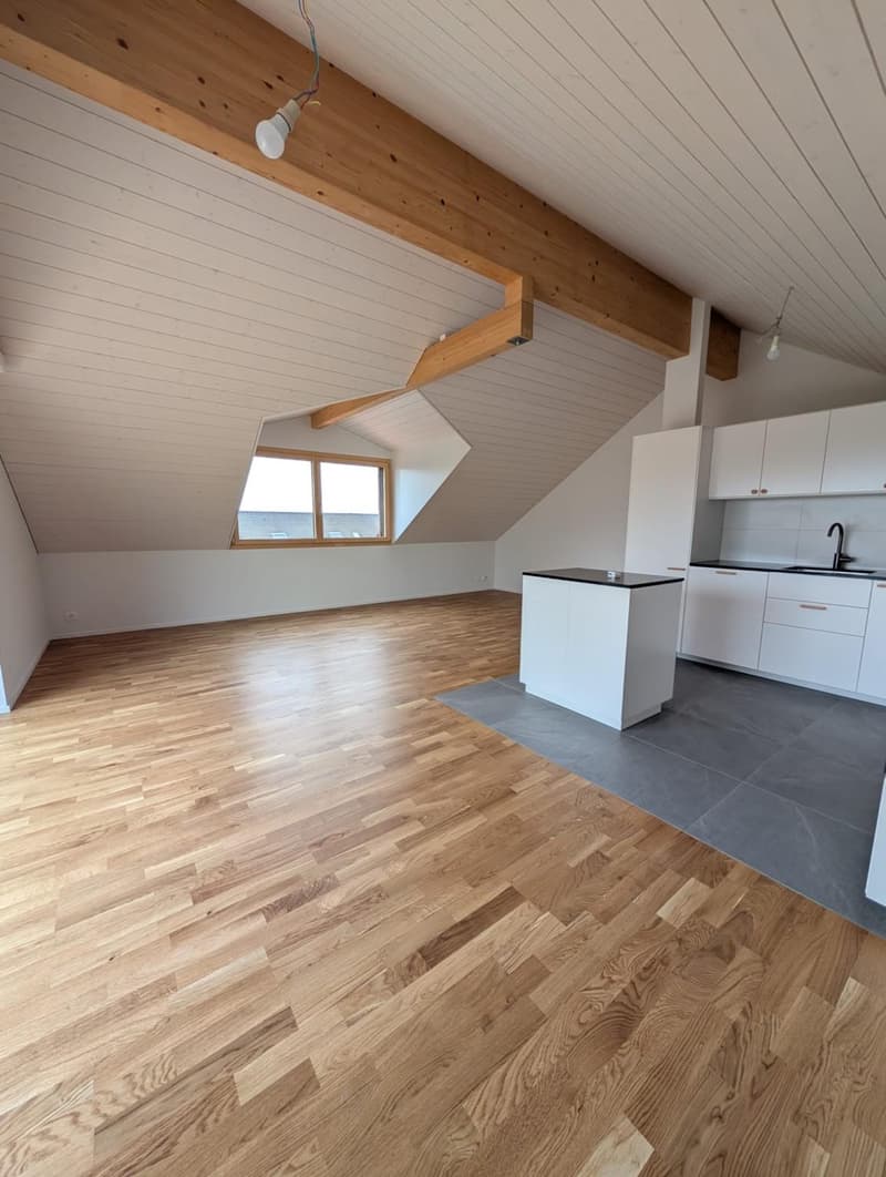 Beautiful 4.5-room duplex apartment in a renovated house (2)