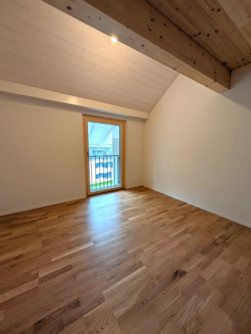 Beautiful 4.5-room duplex apartment in a renovated house (6)
