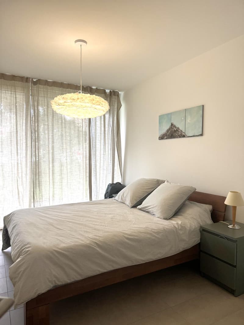 Prachtvolle 2,5-Zimmer-Wohnung in Nyon (4)