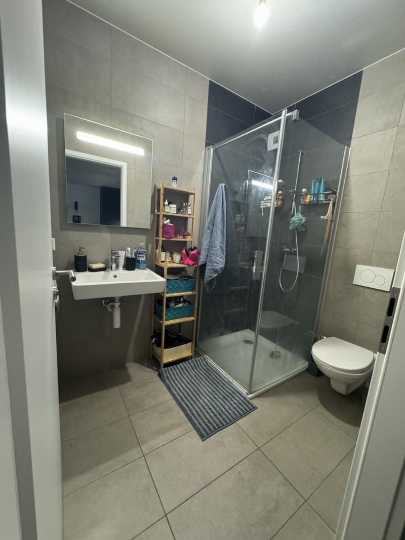 Prachtvolle 2,5-Zimmer-Wohnung in Nyon (5)