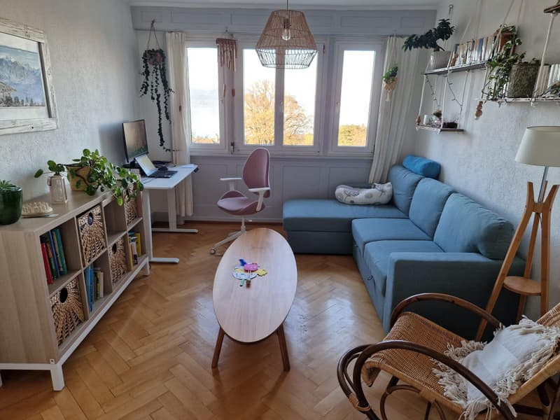 Appartement de 4 pièces dans les combles (4)
