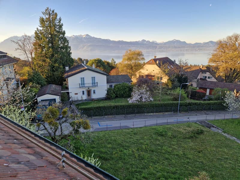Appartement de 4 pièces dans les combles (2)