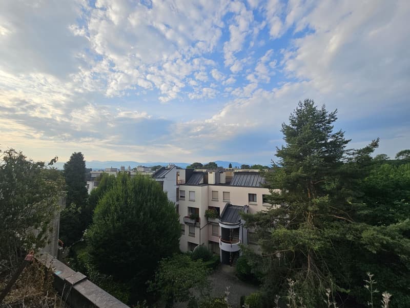 Appartement de 5,5 pièces en triplex (1)