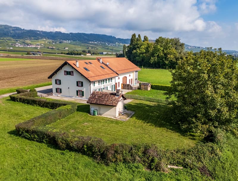 Gilly - Charmante villa mitoyenne avec un beau jardin (1)