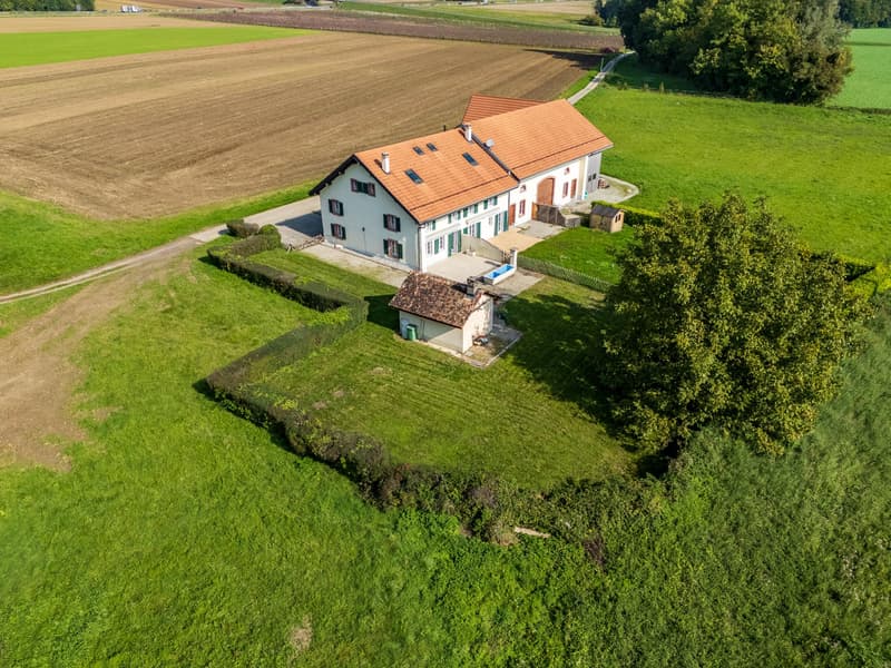 Gilly - Charmante villa mitoyenne avec un beau jardin (7)