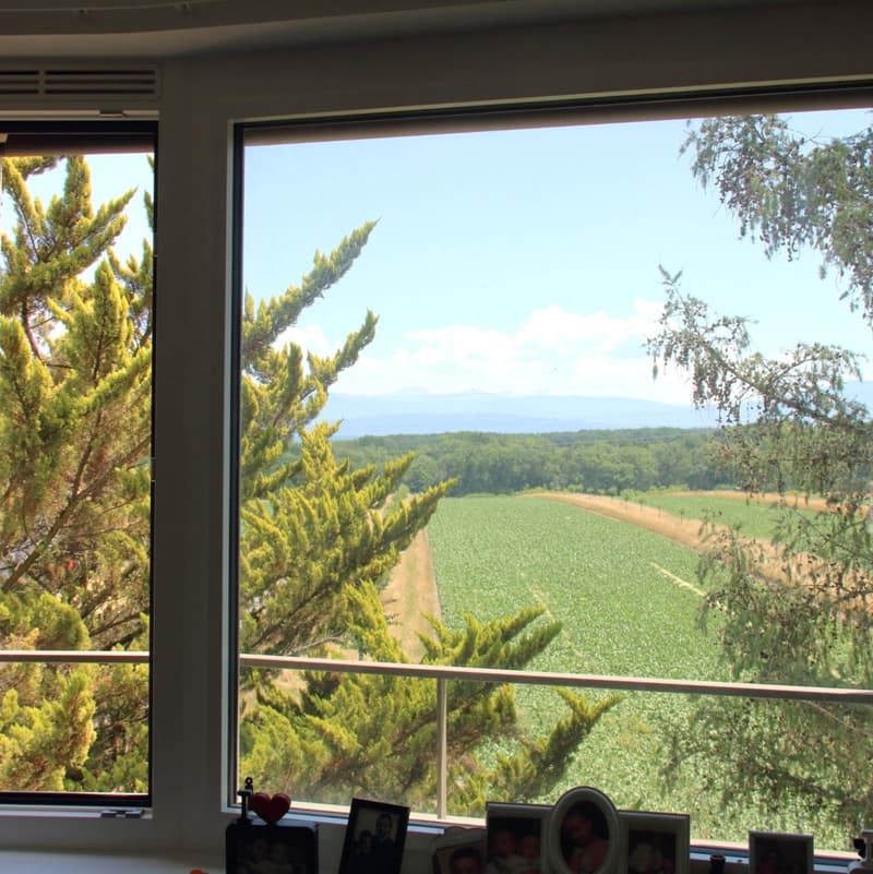 Magnifique appartement récent de 4.5 pièces aux combles à Eysins (5)