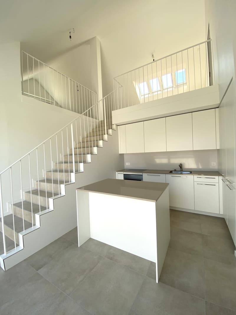 Magnifique appartement récent de 4.5 pièces aux combles à Eysins (1)
