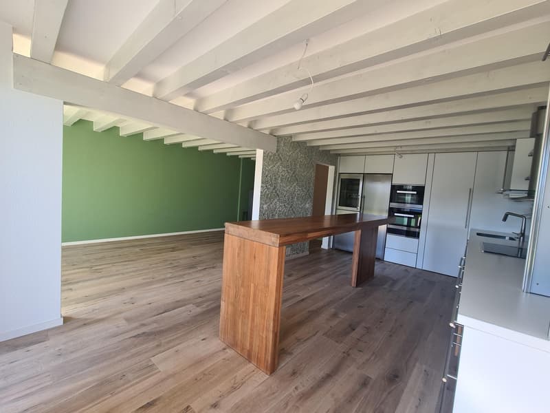 Charmant duplex de 3.5 pièces avec jardin (3)