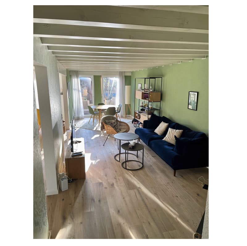 Charmant duplex de 3.5 pièces avec jardin (2)