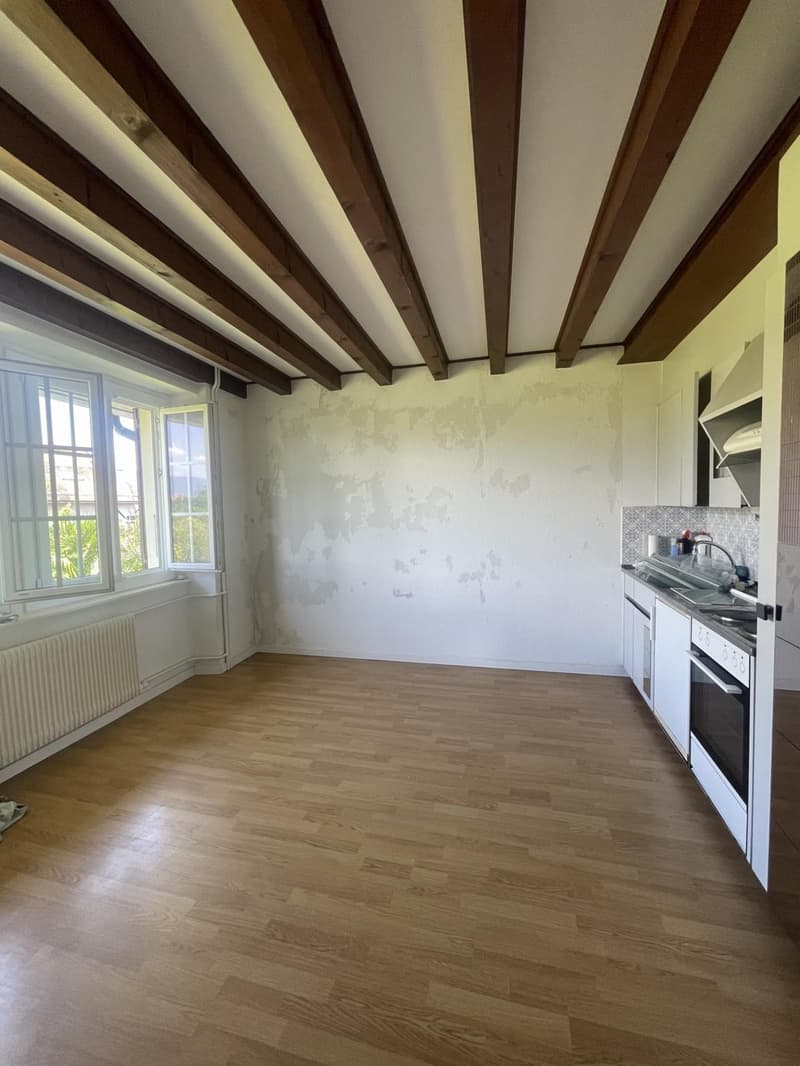 Studio à deux pas du Château de Prangins (2)