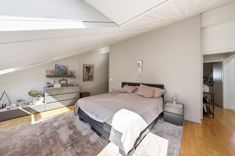 Duplex en attique de 244 m² avec belle terrasse de 36 m² (11)