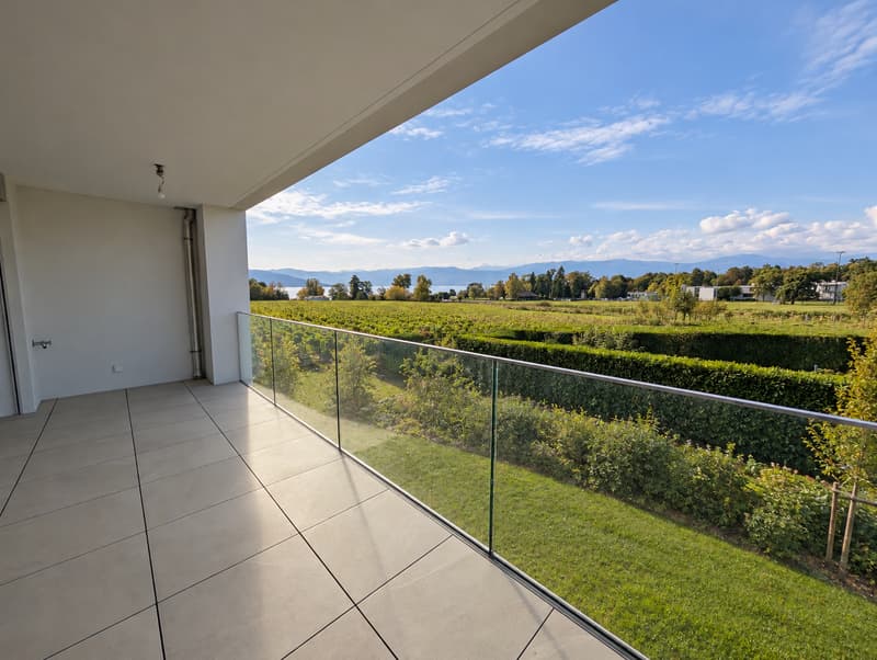 Magnifique appartement de 3,5 pièces avec terrasse, dans une nouvelle construction (2)