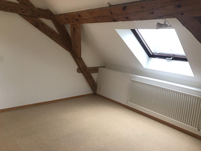 Magnifique villa individuelle à Mont-sur-Rolle (13)