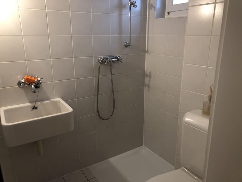 Magnifique villa individuelle à Mont-sur-Rolle (9)