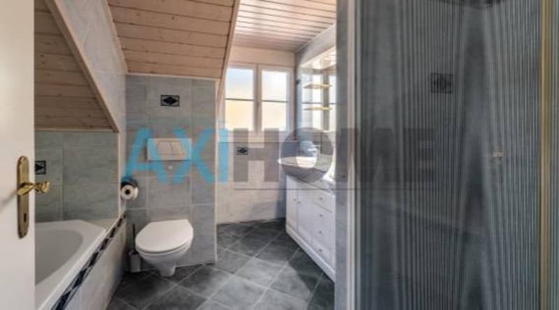 Villa di charme in stile vaudoise (9)