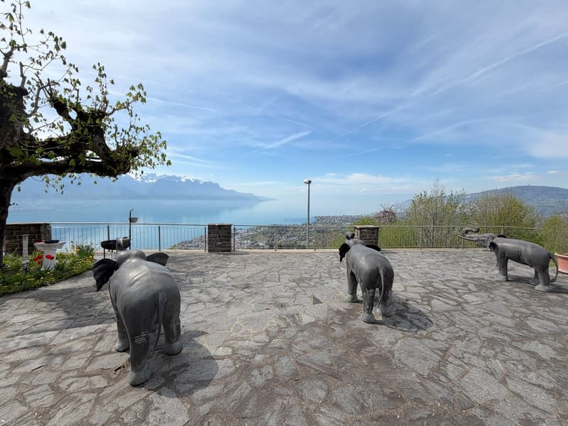EXCLUSIVE! Master villa with panoramic view of Montreux (2)