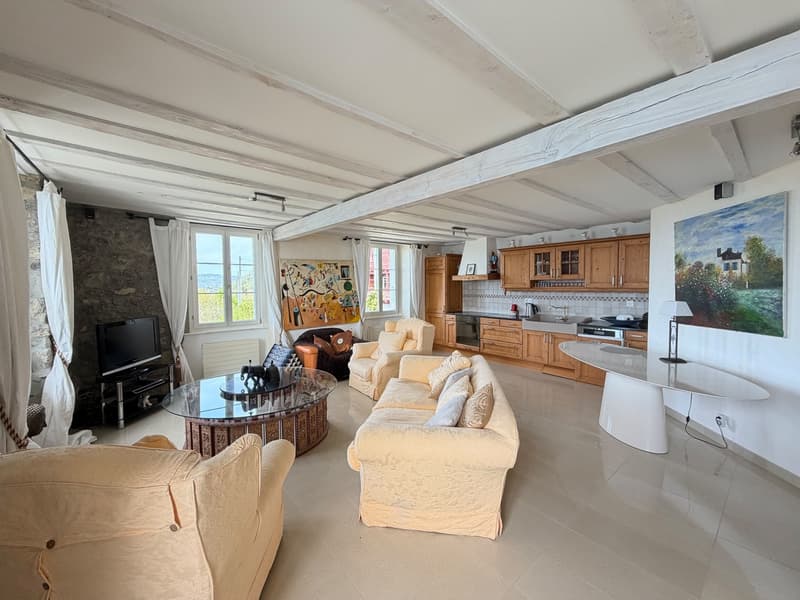 EXCLUSIVE! Master villa with panoramic view of Montreux (12)