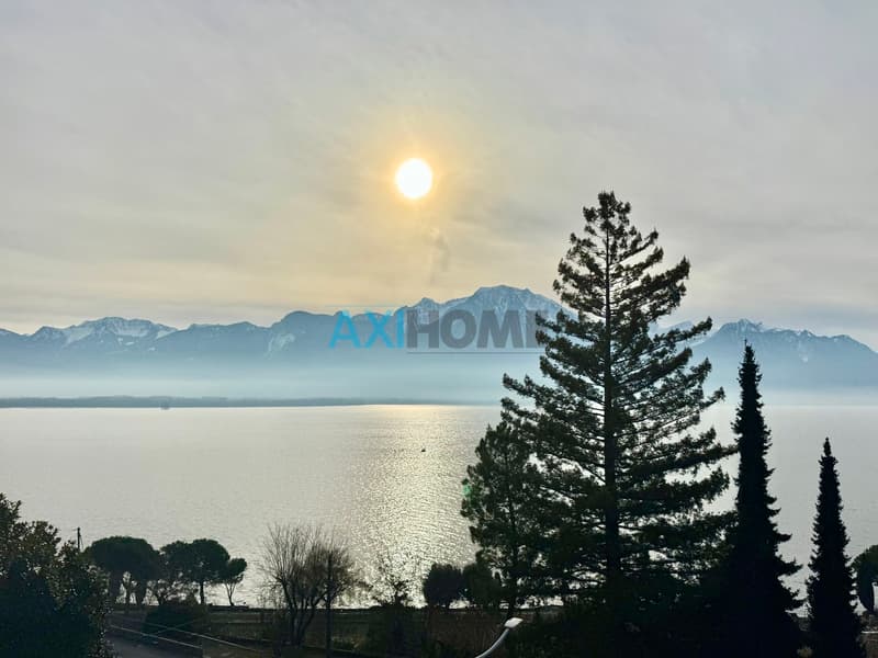 EN EXCLUSIVITÉ, à deux pas du lac avec vue exceptionnelle (1)