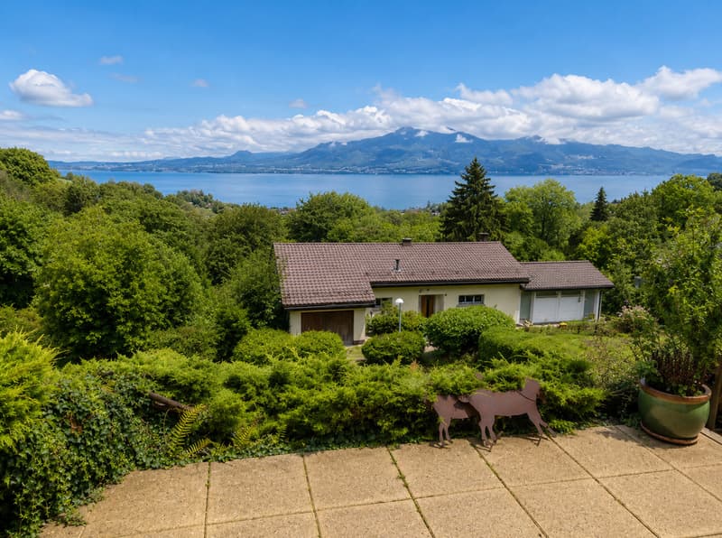Villa vue lac de deux appartements indépendants (1)