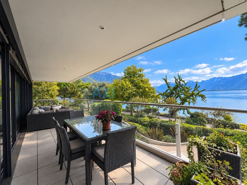 Terrasse vue sur les Alpes