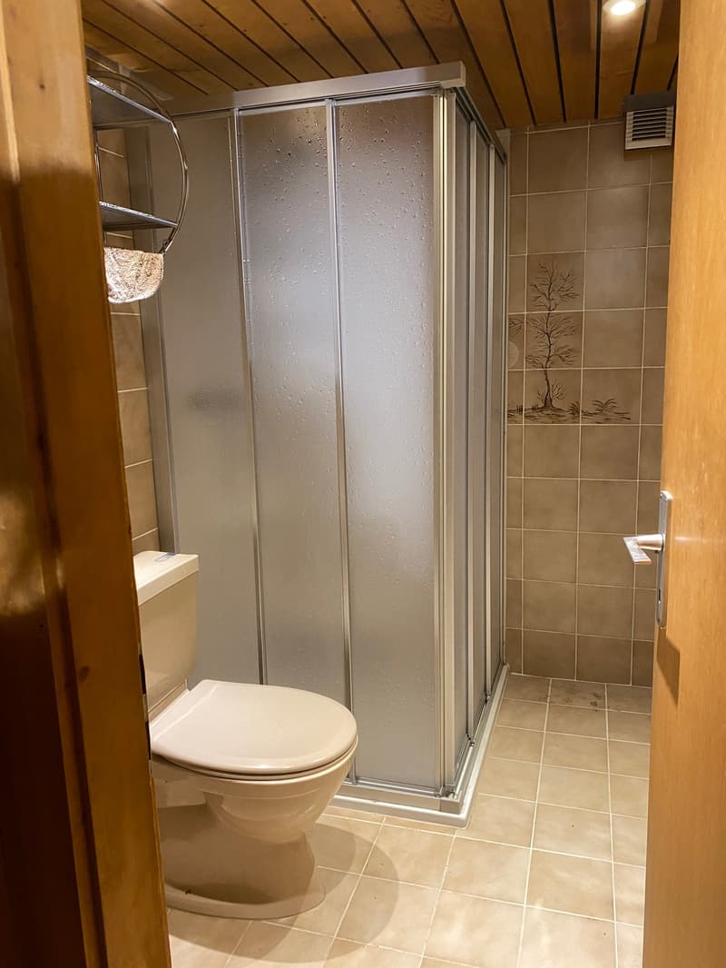 Appartement de 3 pièces avec balcon à Bovernier (6)