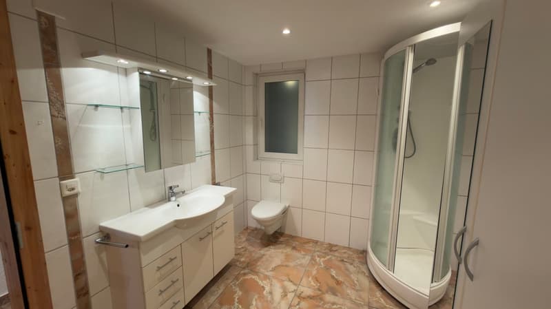 Helles Loft mit sichtbaren Dachbalken zur Miete in Martigny-Bourg (5)
