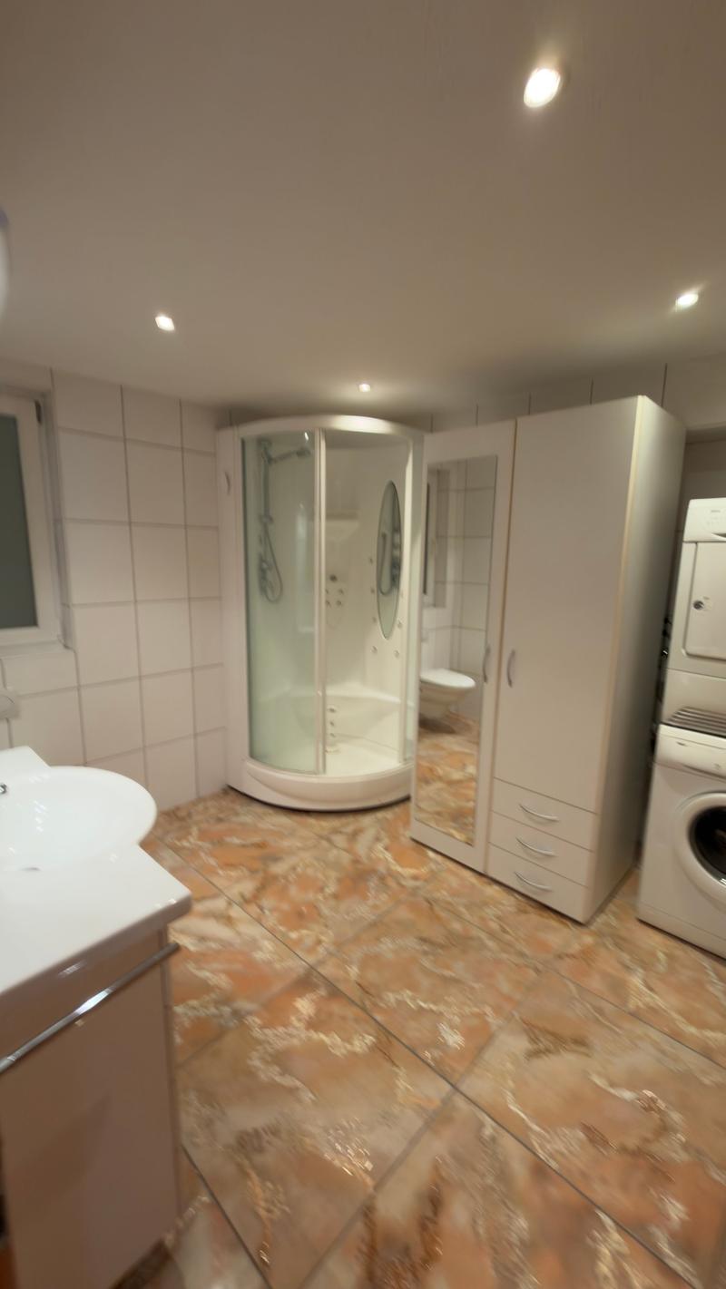 Helles Loft mit sichtbaren Dachbalken zur Miete in Martigny-Bourg (6)