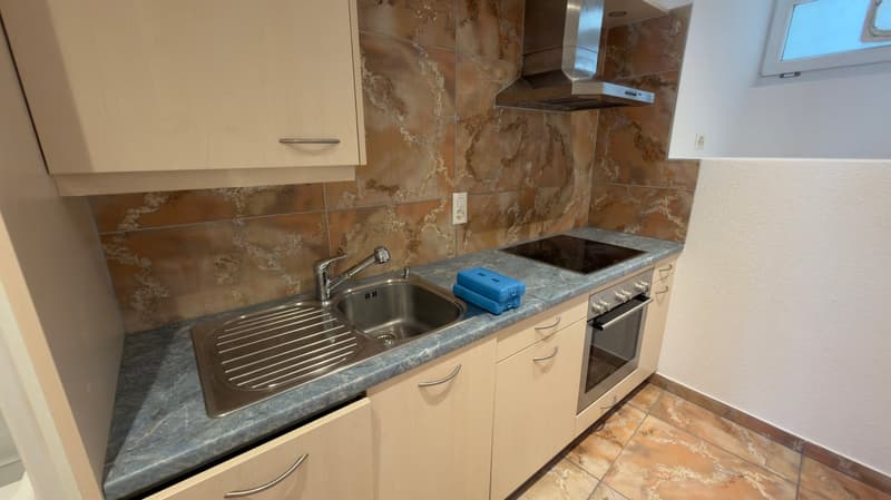 Helles Loft mit sichtbaren Dachbalken zur Miete in Martigny-Bourg (4)