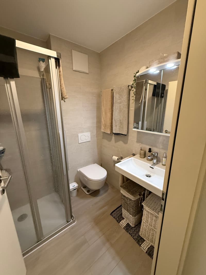 Charmantes 2-Zimmer-Wohnung mit privater Balkon-Terrasse in Martigny (7)
