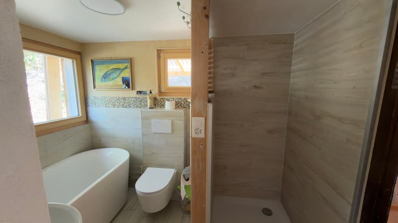 Chalet en bois à Saxon – Cadre naturel et montagnard (7)