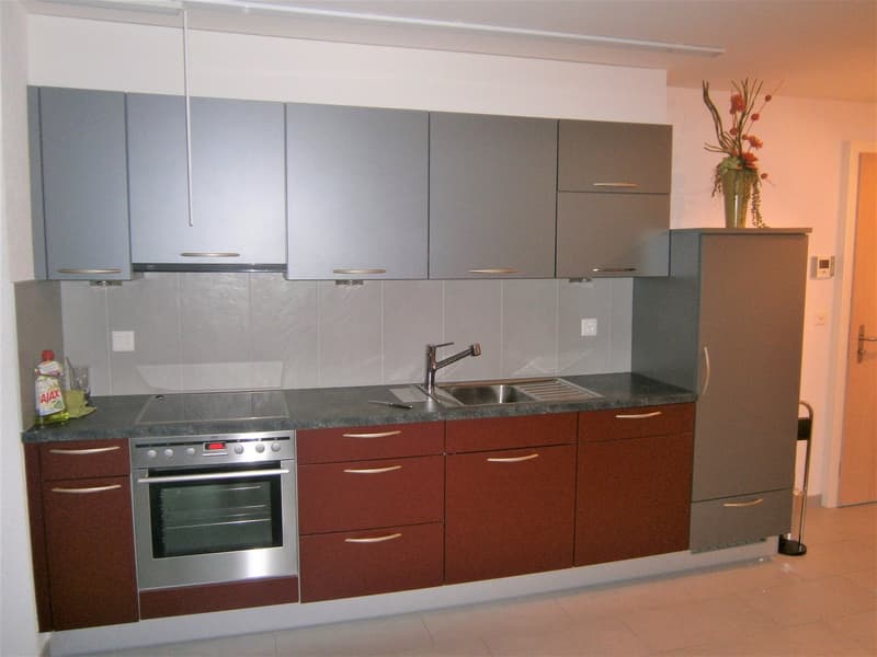Appartement lumineux de 2 pièces au cœur de Martigny (2)