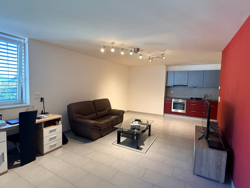 Appartement lumineux de 2 pièces au cœur de Martigny (1)