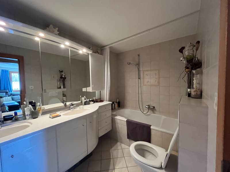 Appartement - 4.5 pces - 3 places parc - Isérables - EXCLUSIVITE (7)