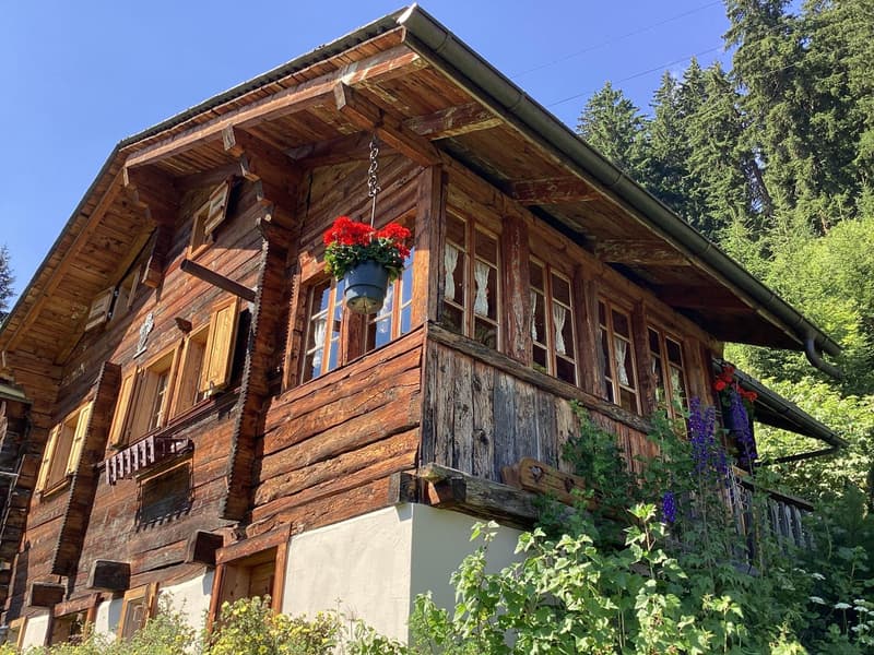 Summer Chalet and its Mazot / La Coûte (Hérémence) / EXCLUSIVITY (2)