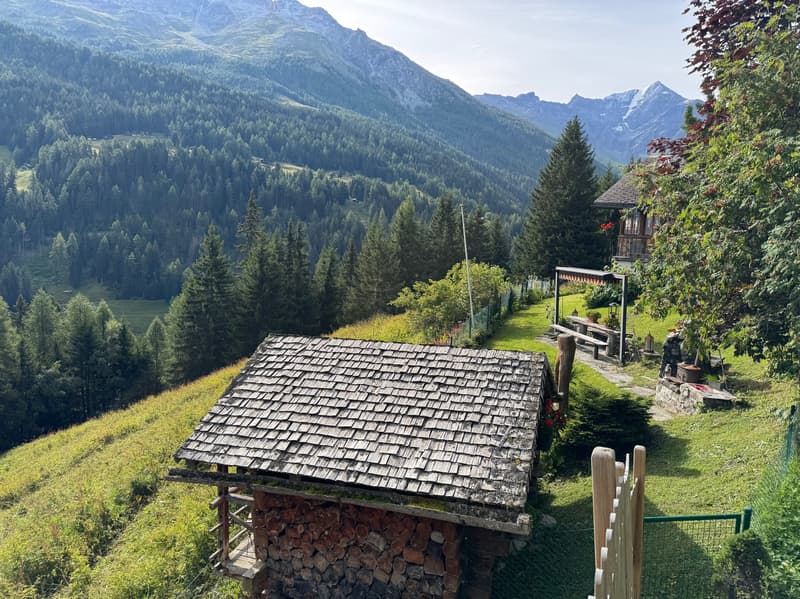 Summer Chalet and its Mazot / La Coûte (Hérémence) / EXCLUSIVITY (10)